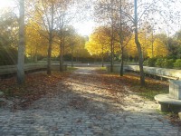 /album/galeria/a20131112-152602-1-jpg/